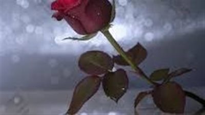 وجع الهوي ايمي نور