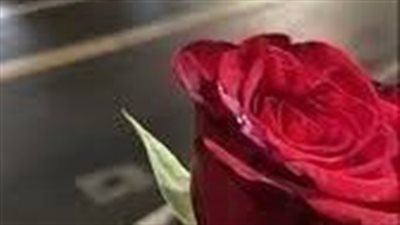 شهد حياتي لسوما العربي